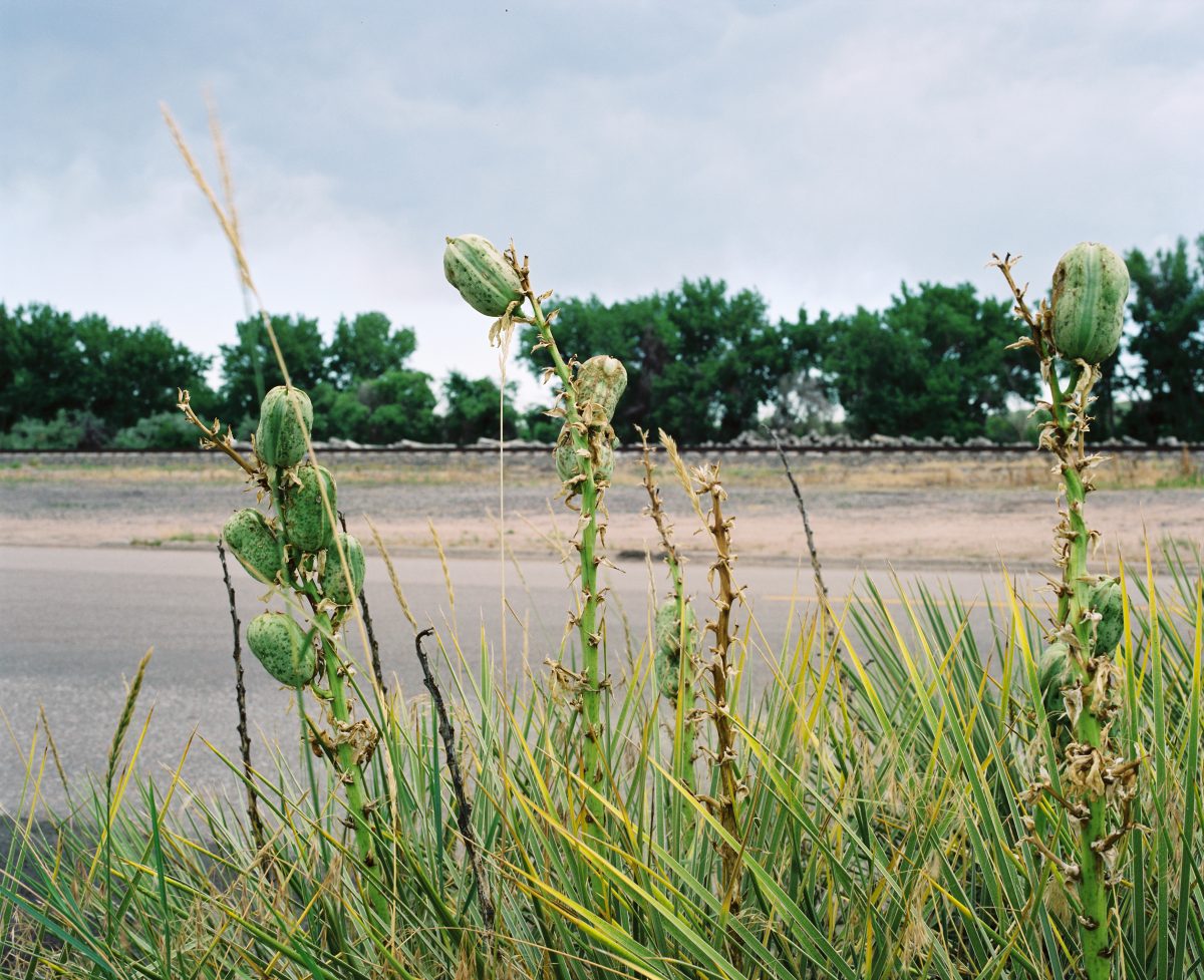 Fish Eye Magazine | Sur la piste de l'Oregon