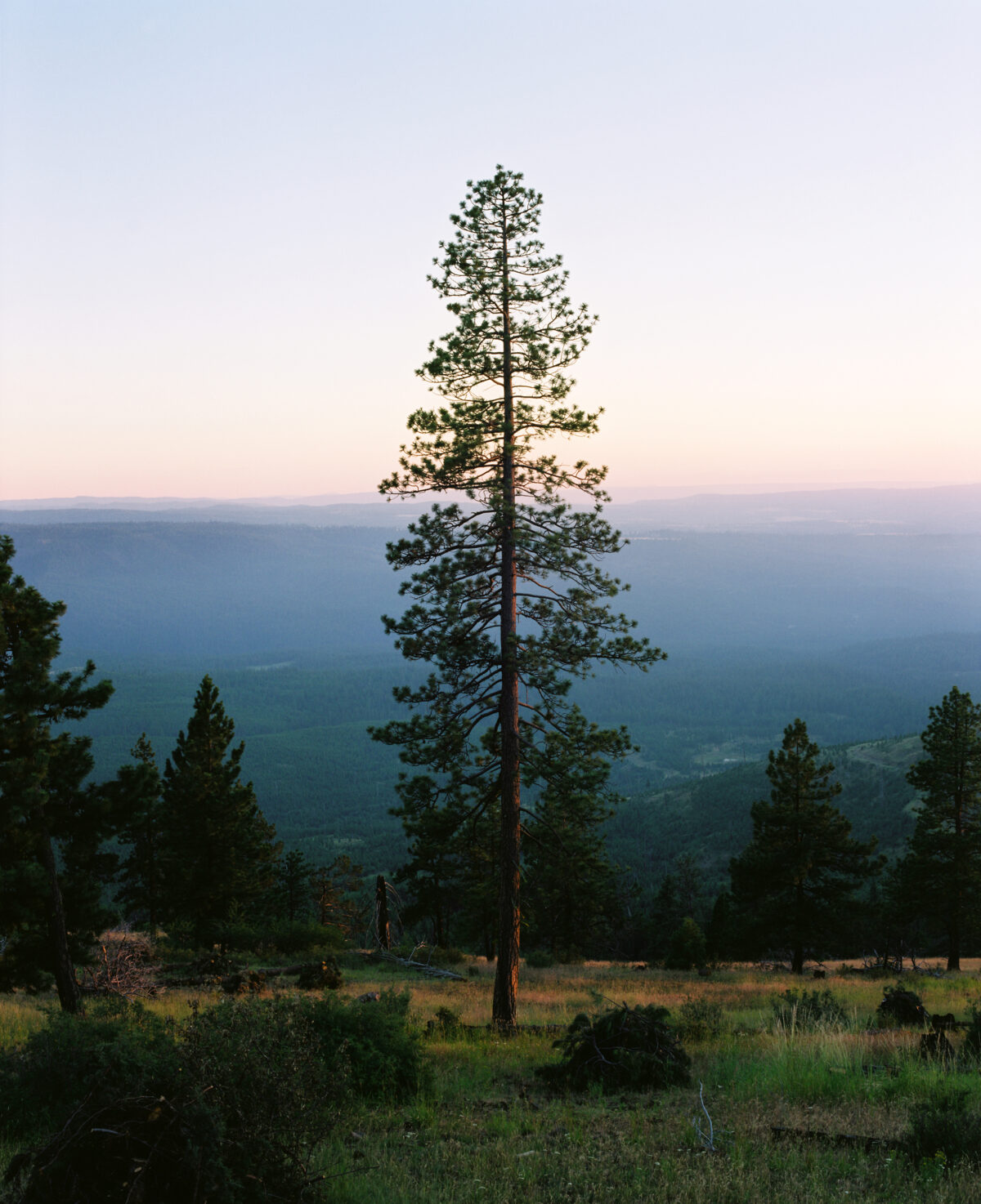 Fish Eye Magazine | Sur la piste de l'Oregon