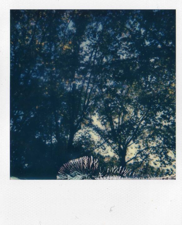 Fisheye Magazine | Les coups de cœur #106