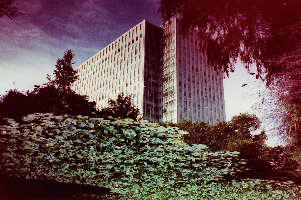 FIsh Eye Magazine | Le Japon déroutant de Sean Lotman