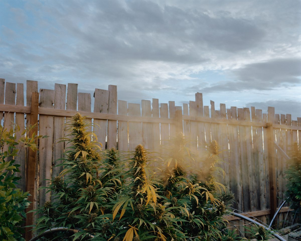 Fish Eye Magazine | The North Fork