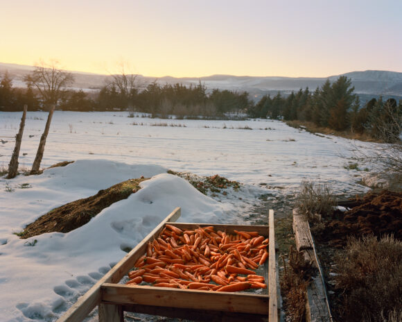 Fisheye Magazine | The North Fork