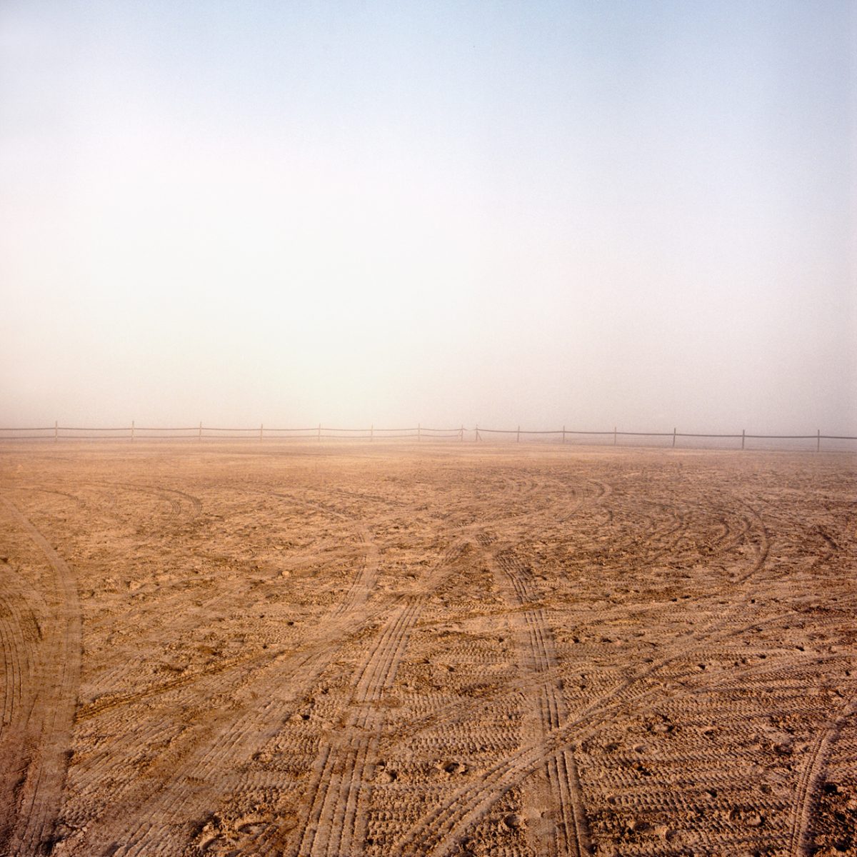 Fish Eye Magazine | Sons of the Meadowlands
