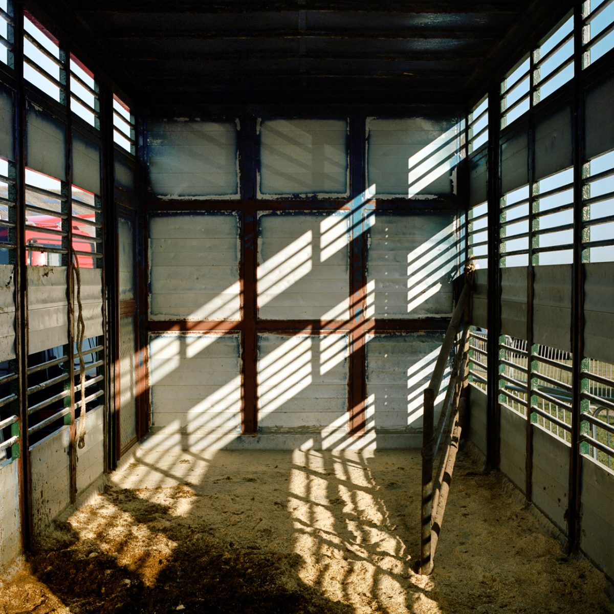 Fish Eye Magazine | Sons of the Meadowlands