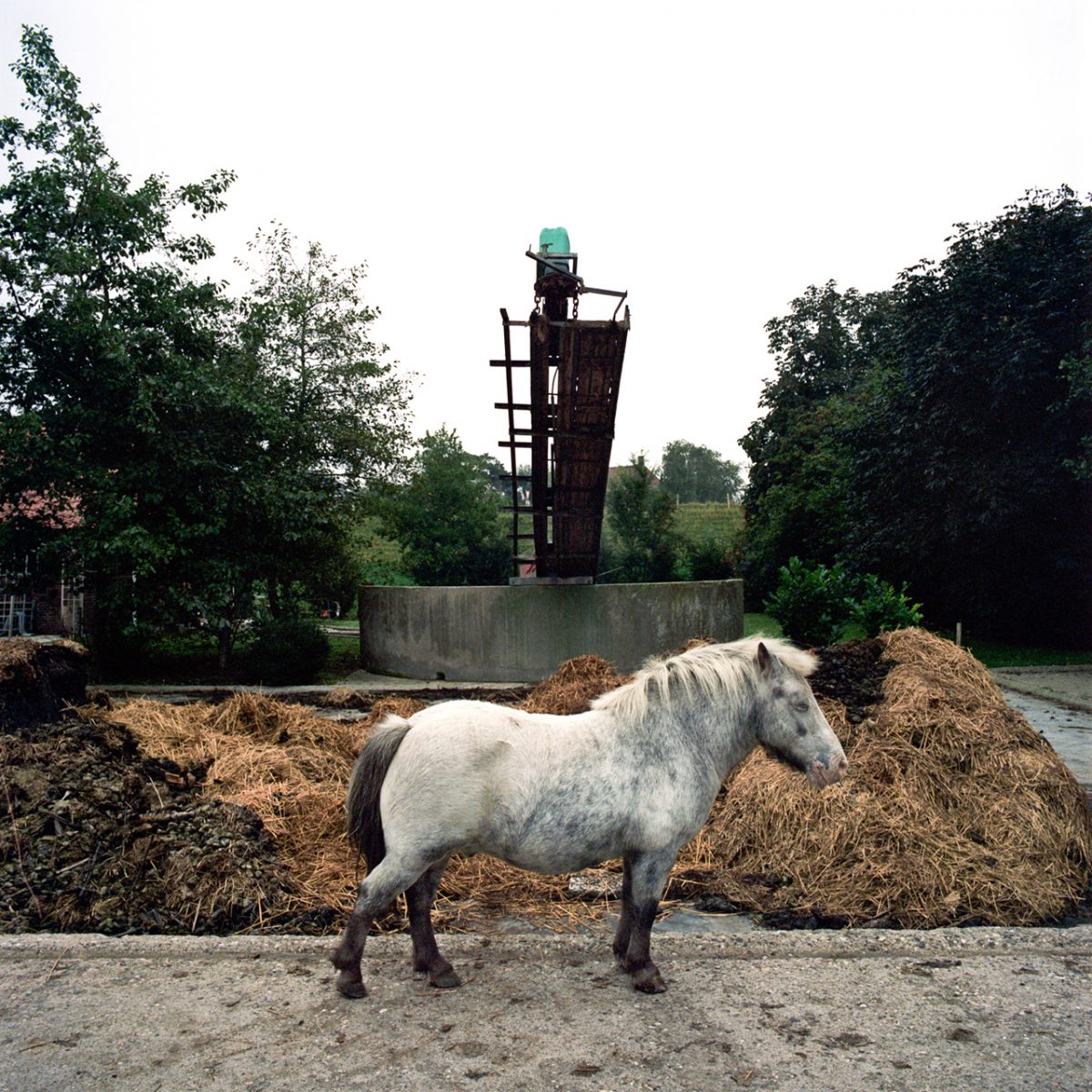 Fish Eye Magazine | Sons of the Meadowlands