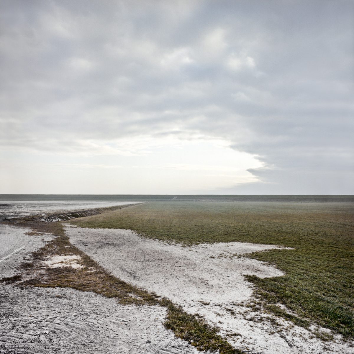 Fish Eye Magazine | Sons of the Meadowlands