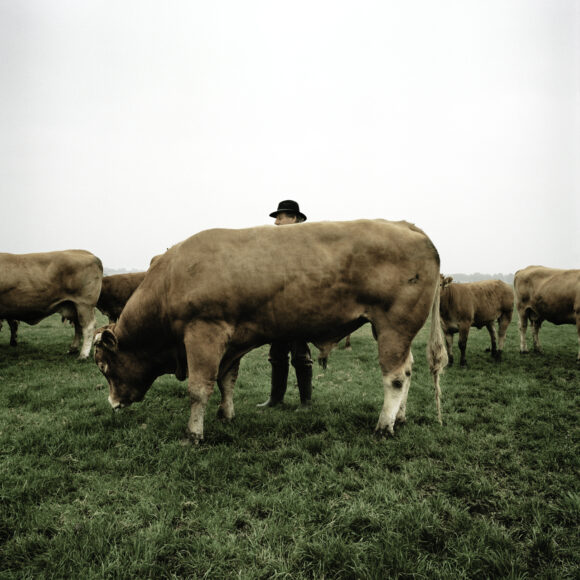 Fisheye Magazine | Sons of the Meadowlands