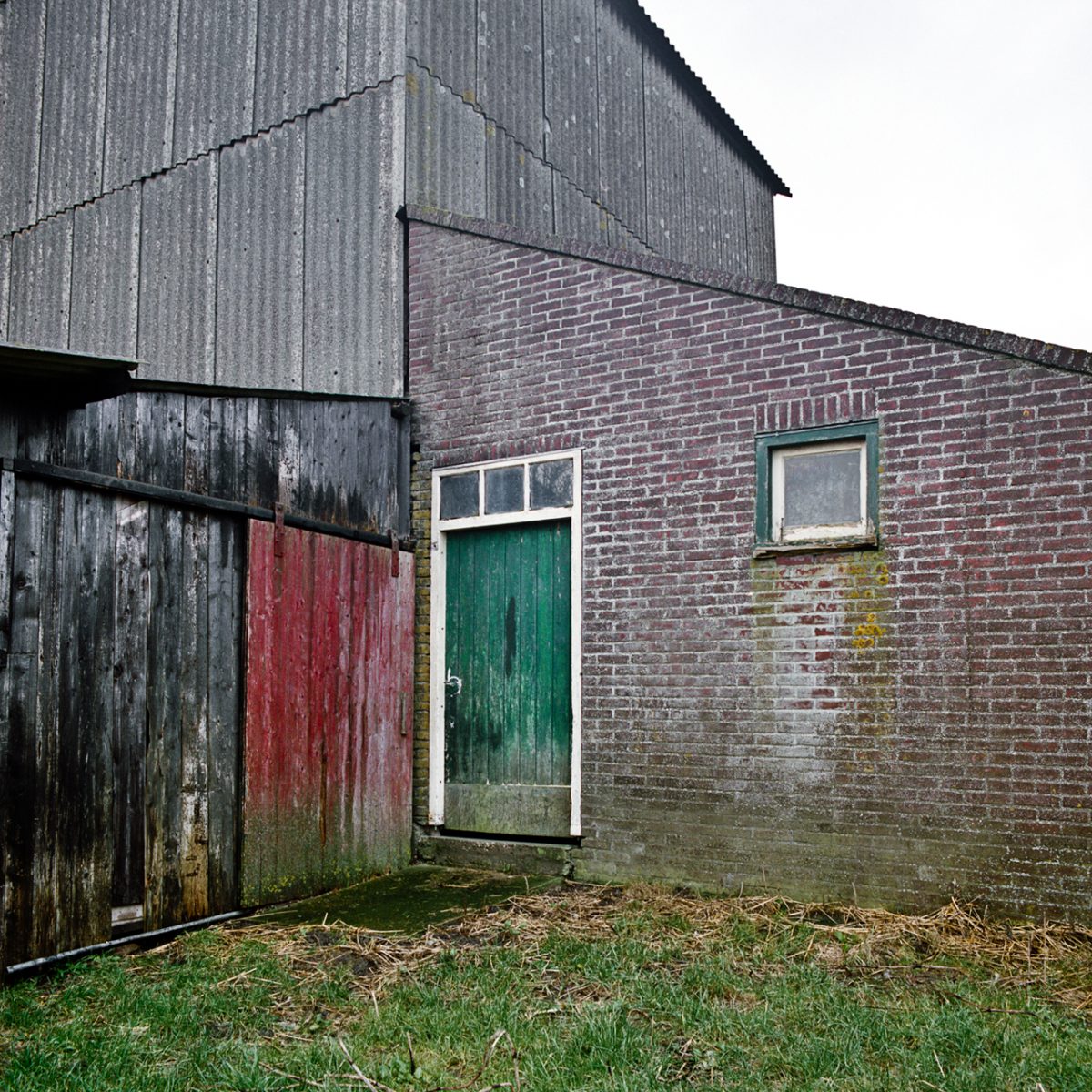 Fish Eye Magazine | Sons of the Meadowlands