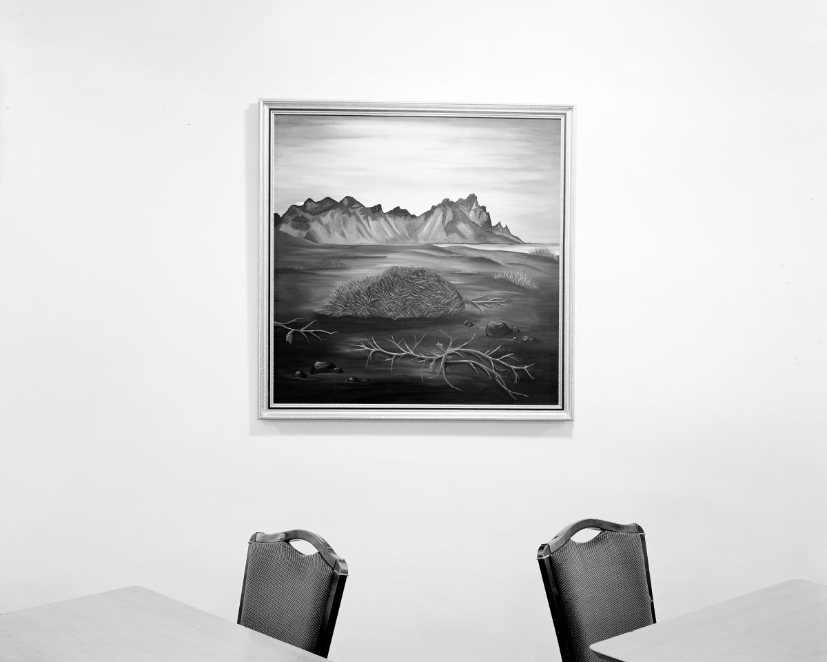 Fish Eye Magazine | Homes of Steel