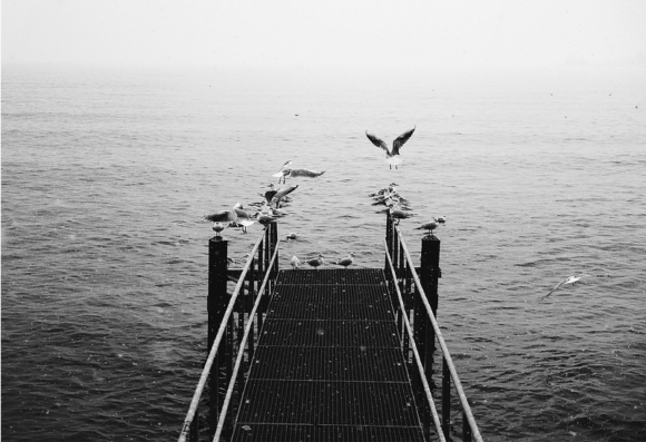 Fisheye Magazine | Les coups de cœur #110