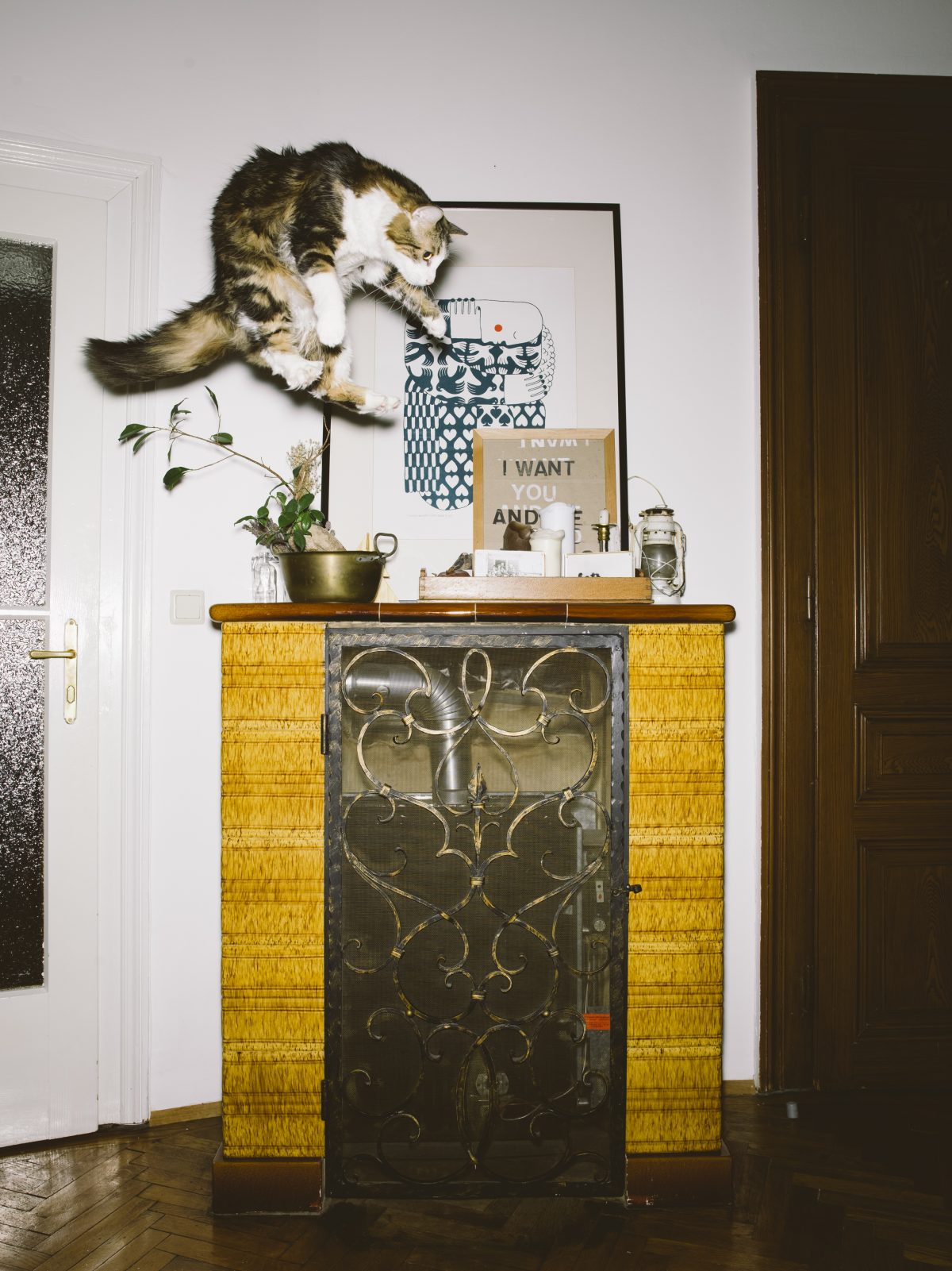 Fish Eye Magazine | Chats perchés