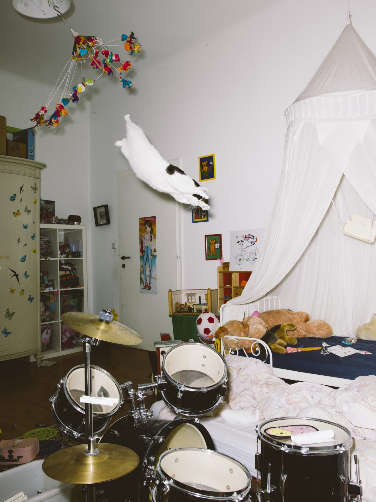 Fish Eye Magazine | Chats perchés
