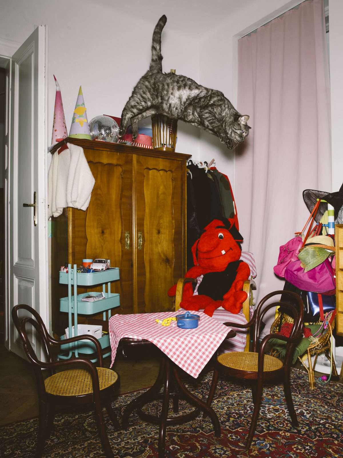 Fish Eye Magazine | Chats perchés