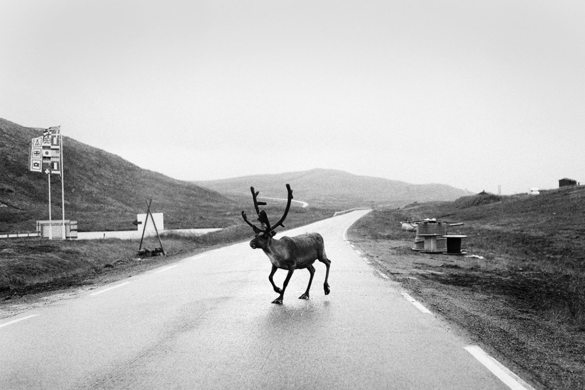Extrait de "Europe", © Jef Bonifacino