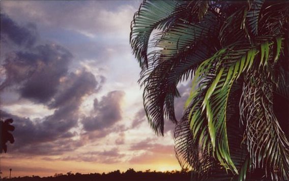 Fisheye Magazine | La sélection Instagram #68