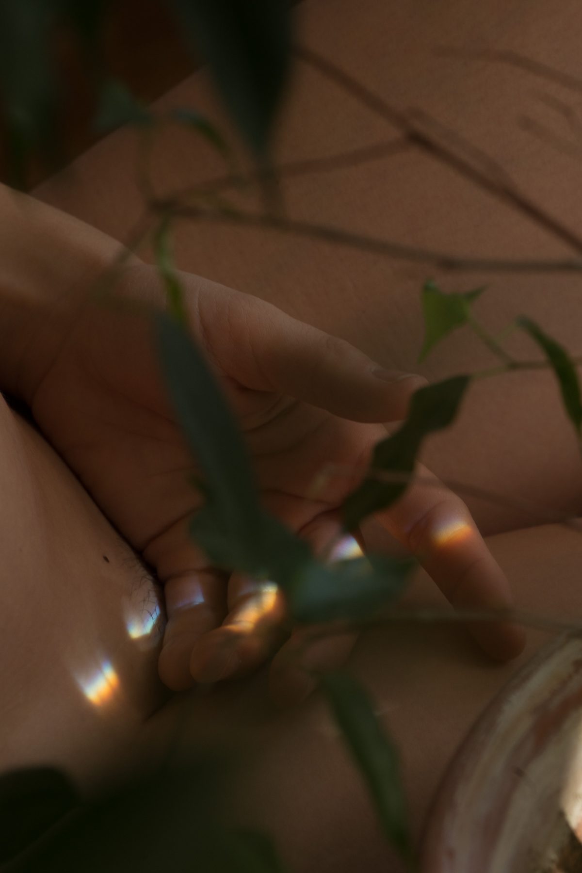 MathildaOlmi-_MimosaPudica_12.jpg