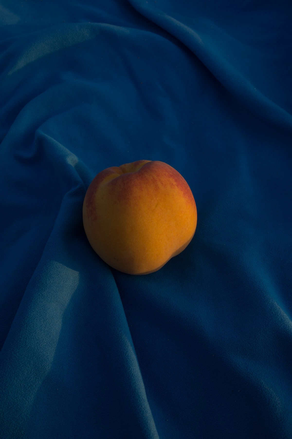 Extrait de la série "Mimosa Pudica" / © Mathilda Olmi