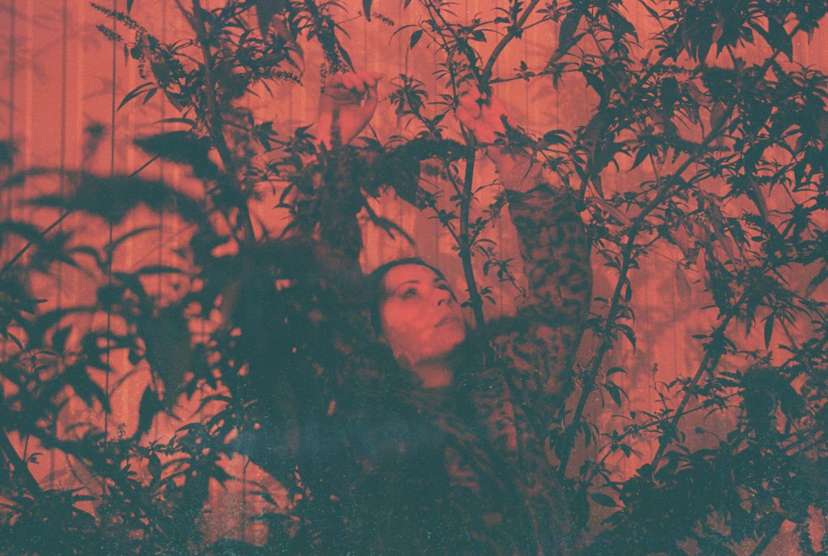 Fisheye Magazine | Les fantasmagories de Jeanne