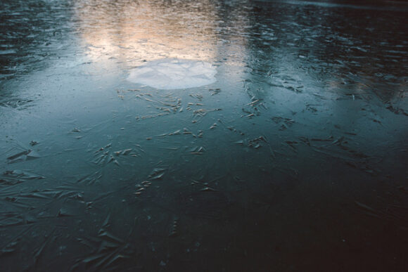 Fisheye Magazine | Les coups de cœur #115