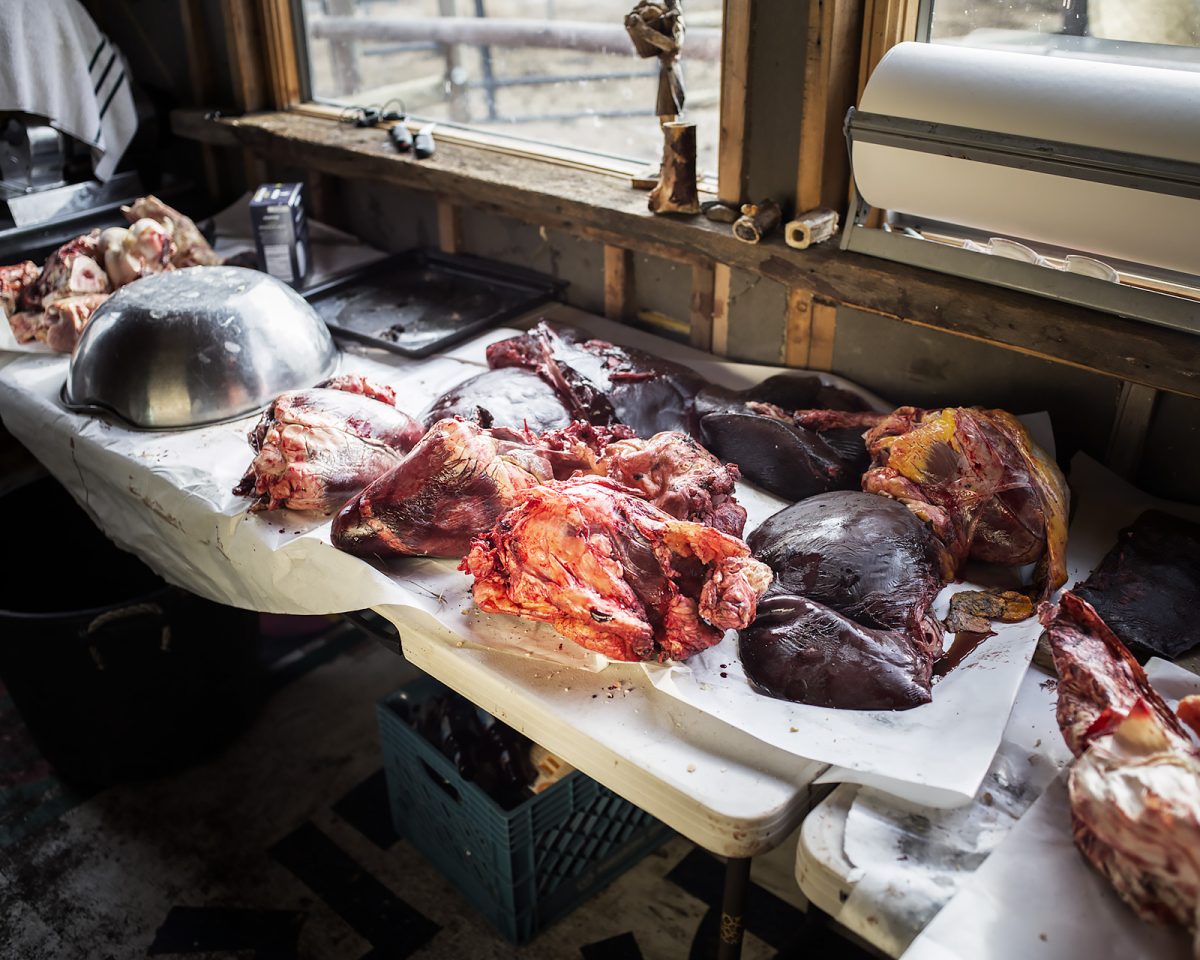 Fish Eye Magazine | Les glaneurs de Matt Hamon