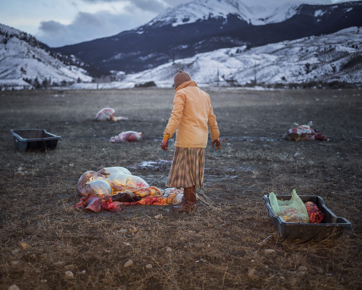 Fish Eye Magazine | Les glaneurs de Matt Hamon