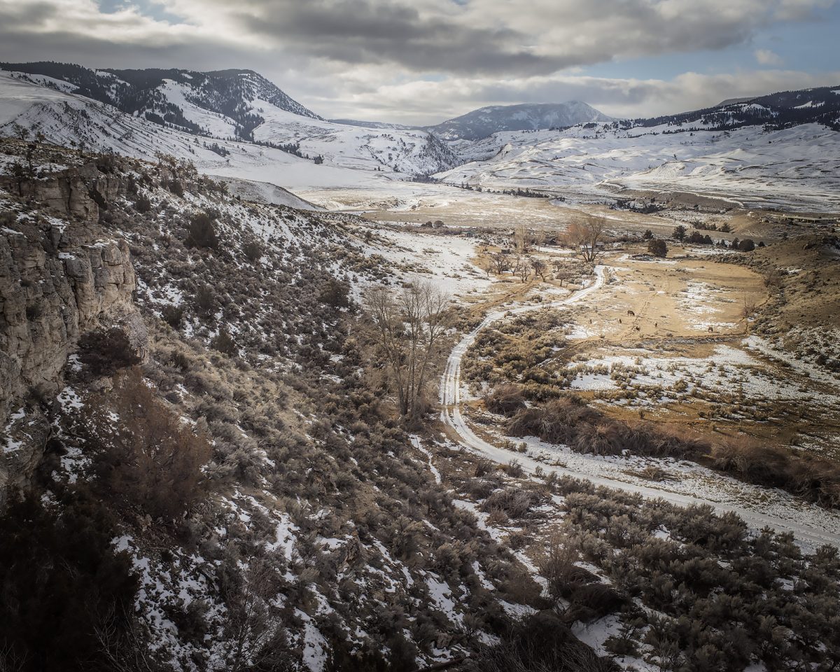 Fish Eye Magazine | Les glaneurs de Matt Hamon