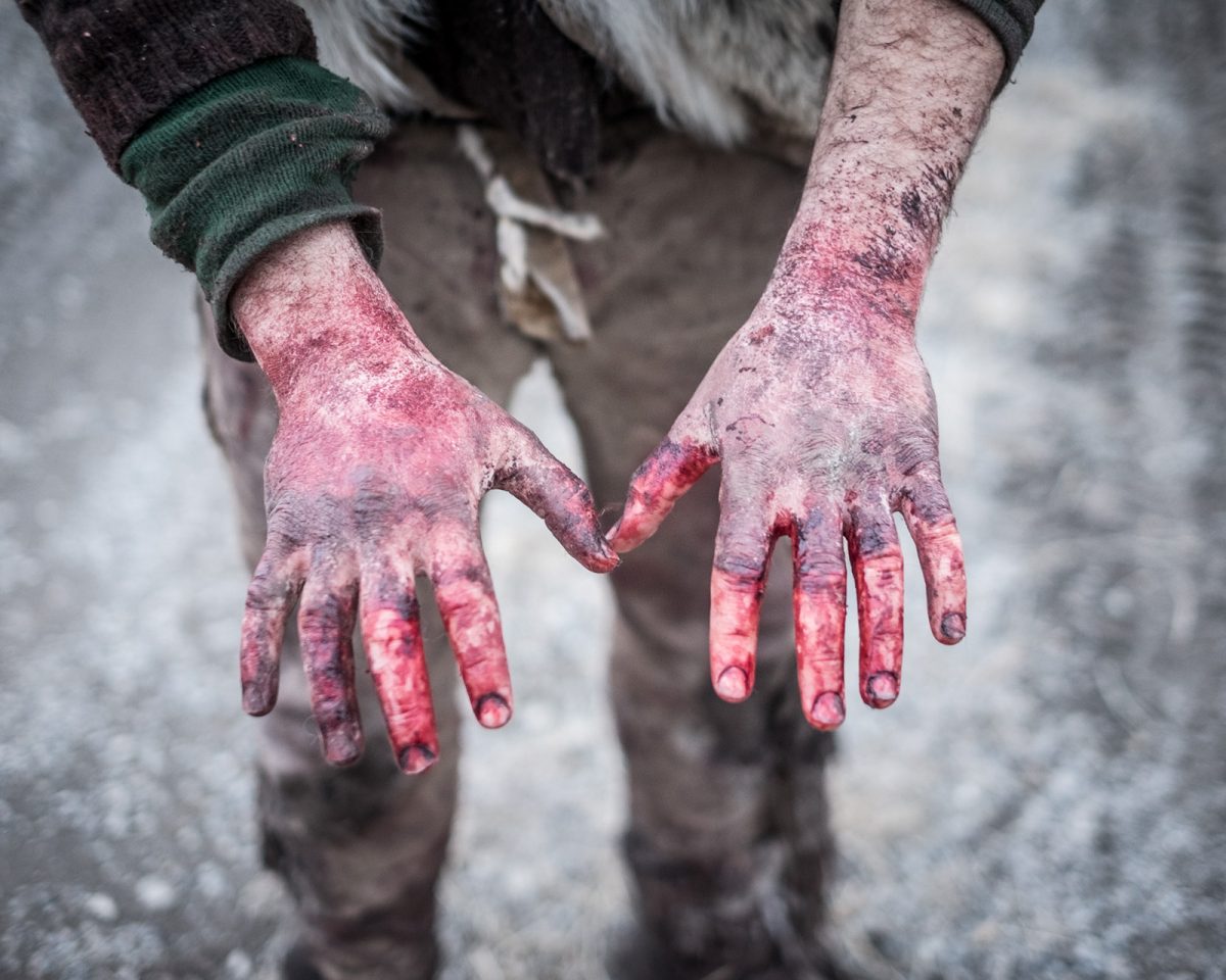 Fish Eye Magazine | Les glaneurs de Matt Hamon