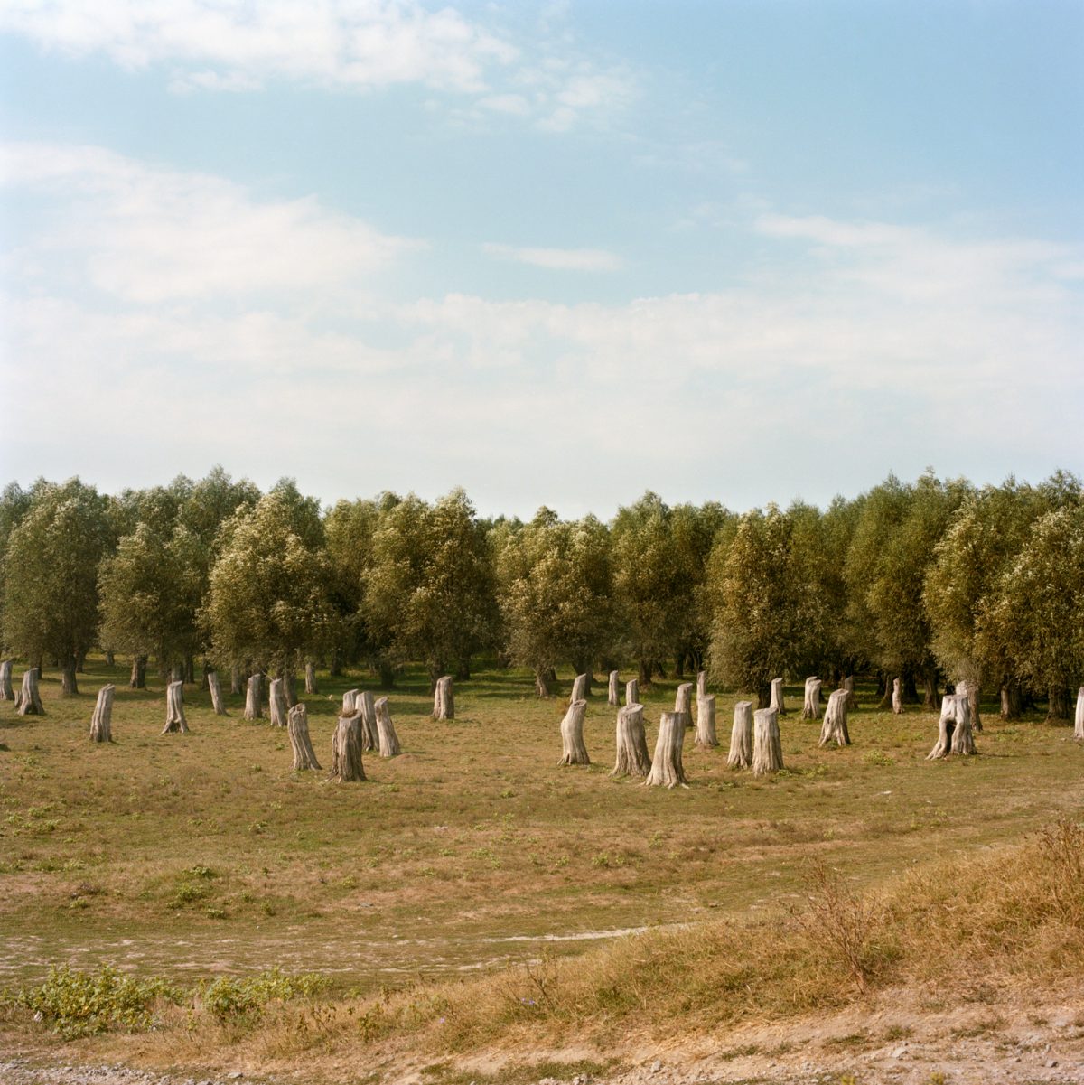 Extrait de "Youth WIthout Age, Life Without Death", © Laura Pannack