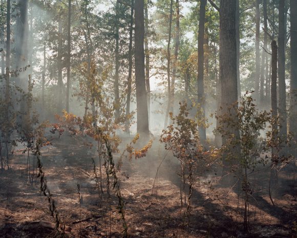 Extrait de "One Sun, One Shadow", © Shane Lavalette