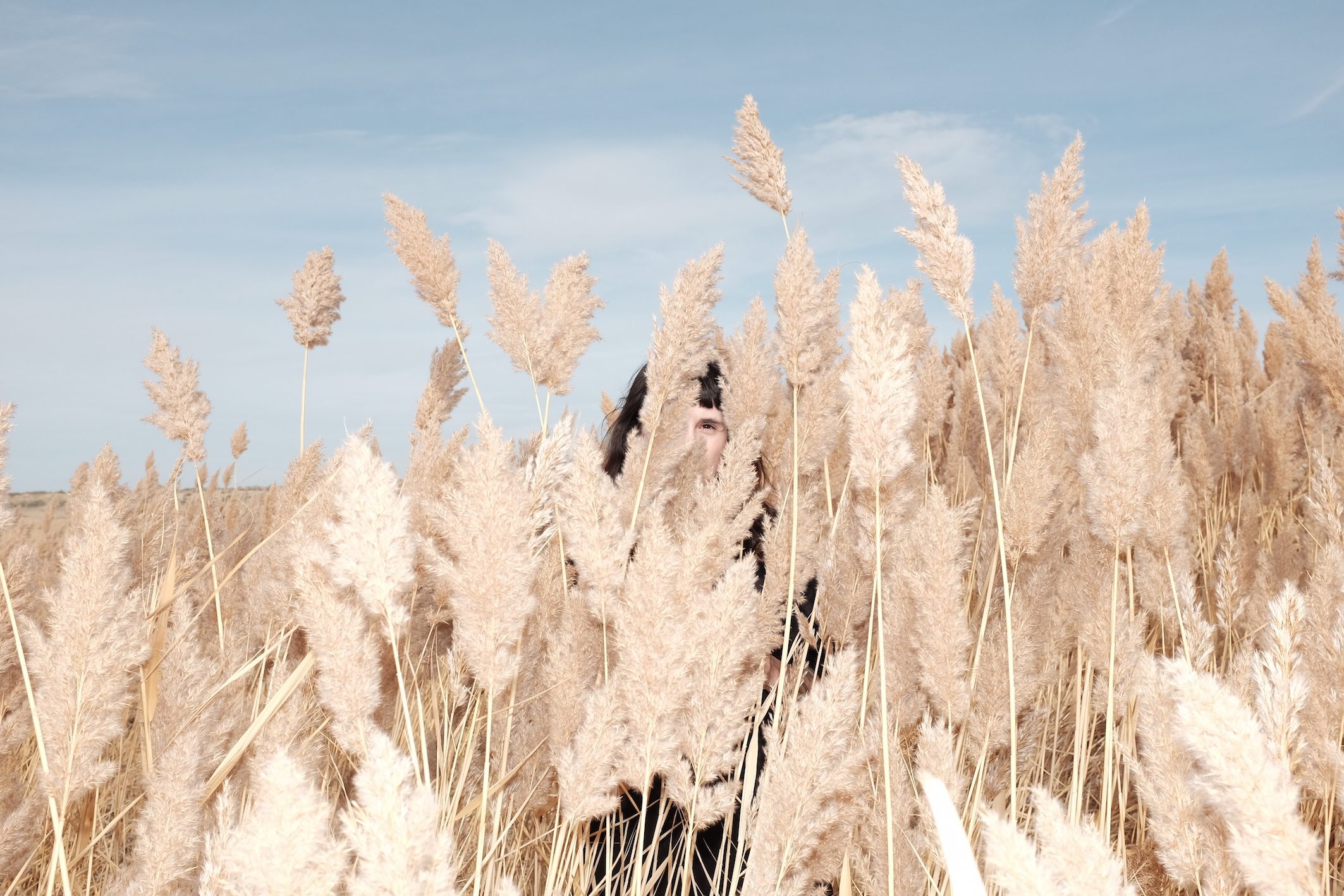 © Anna Hahoutoff