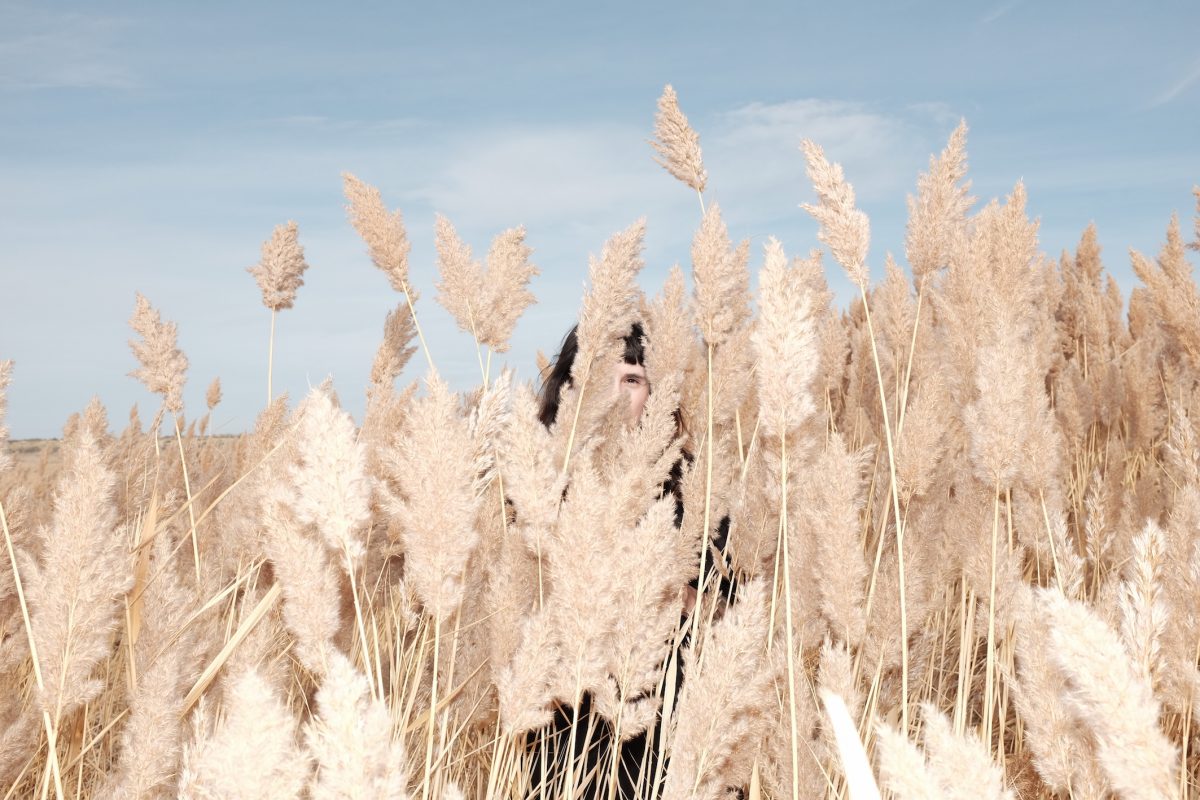 Extrait du projet "Americana" / © Anna Hahoutoff