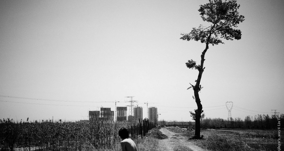 Fisheye Magazine | Ensauvager le monde