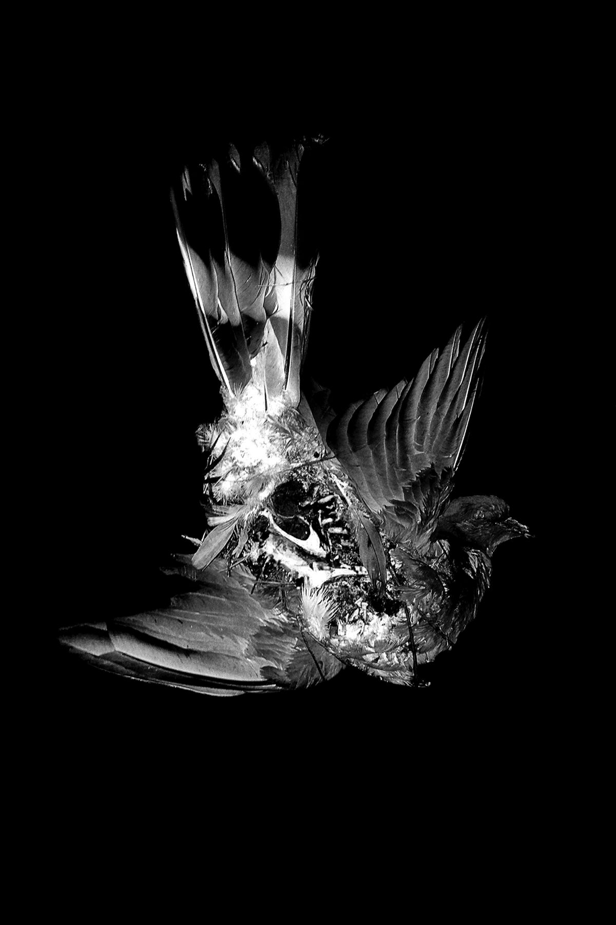Extrait de "I don't want to disappear completely", © Bérangère Fromont