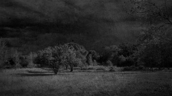 Fisheye Magazine | STRATES - Les Terres