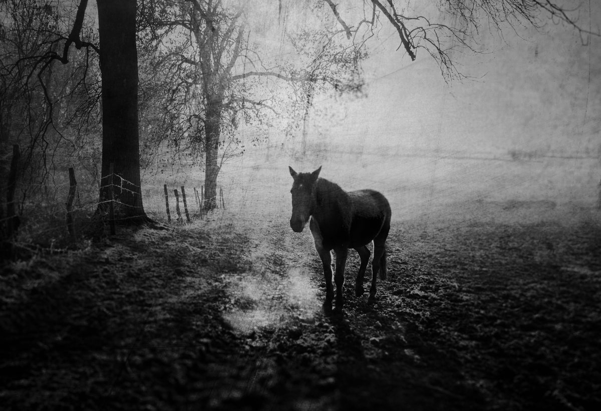 Fisheye Magazine | STRATES - Les Terres