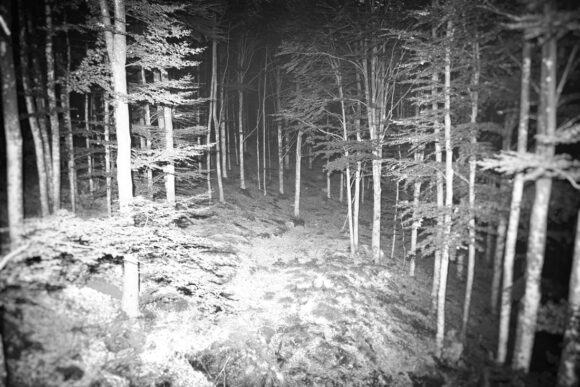 Fisheye Magazine | Inhabitants