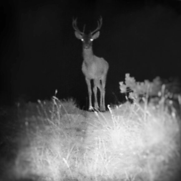 Fisheye Magazine | Inhabitants