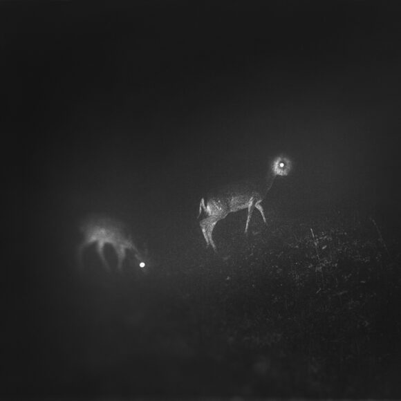 Fisheye Magazine | Inhabitants