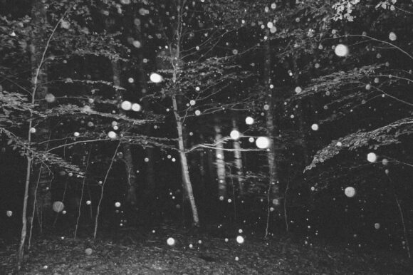 Fisheye Magazine | Inhabitants
