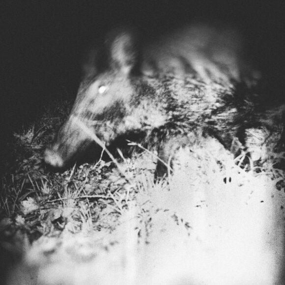 Fisheye Magazine | Inhabitants