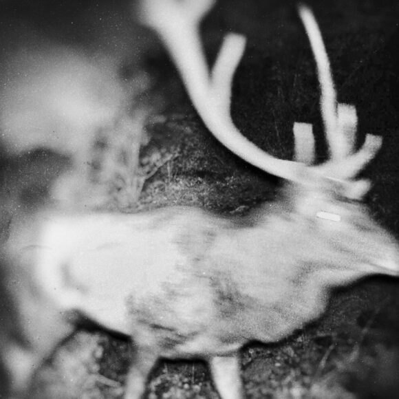 Fisheye Magazine | Inhabitants
