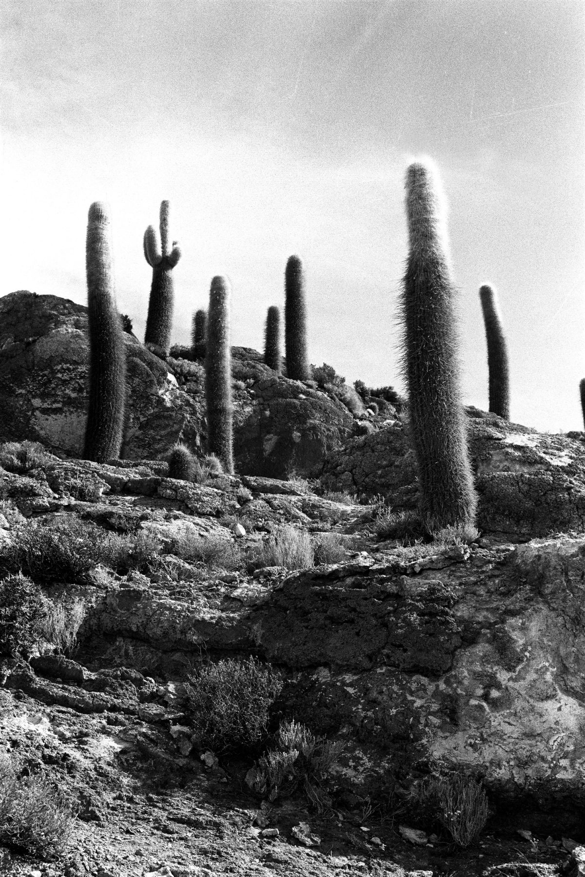 machabaid-fisheyelemag-7.jpg