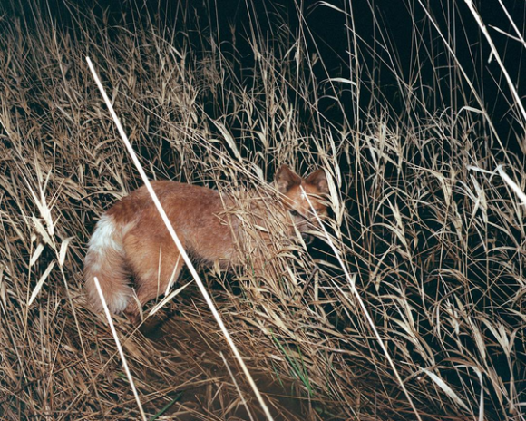 Fisheye Magazine | La sélection Instagram #76
