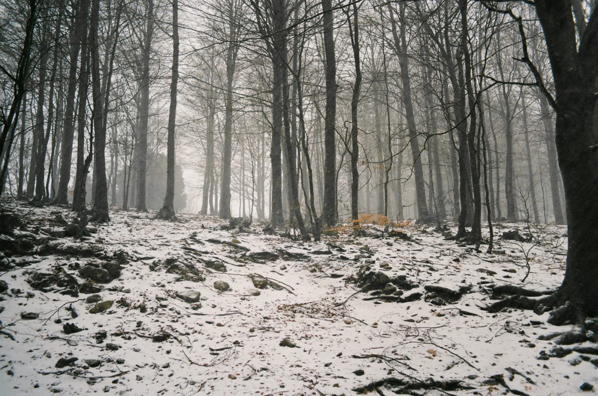 Fisheye Magazine | Extrait de "Winter memories", © Anna Dosenes 