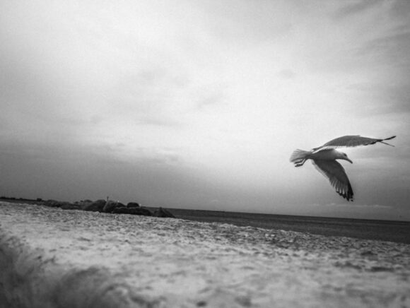Fisheye Magazine | © Stelios Papadopoulos / Instagram
