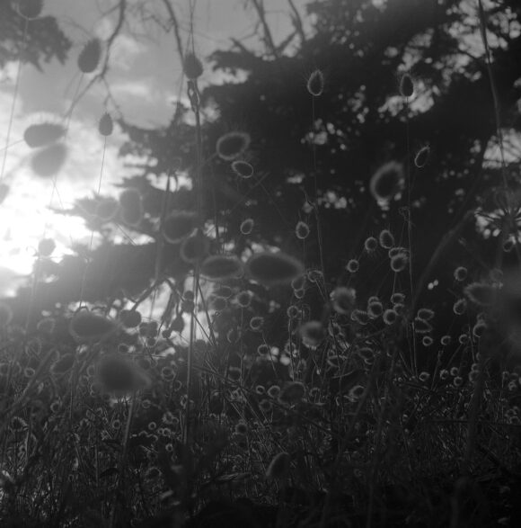 Fisheye Magazine | Les coups de cœur #127