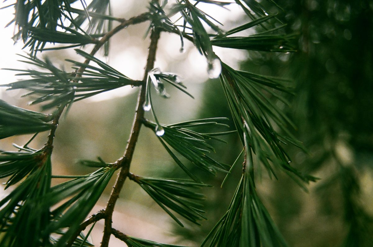 Fisheye Magazine | Extrait de "Winter memories", © Anna Dosenes 