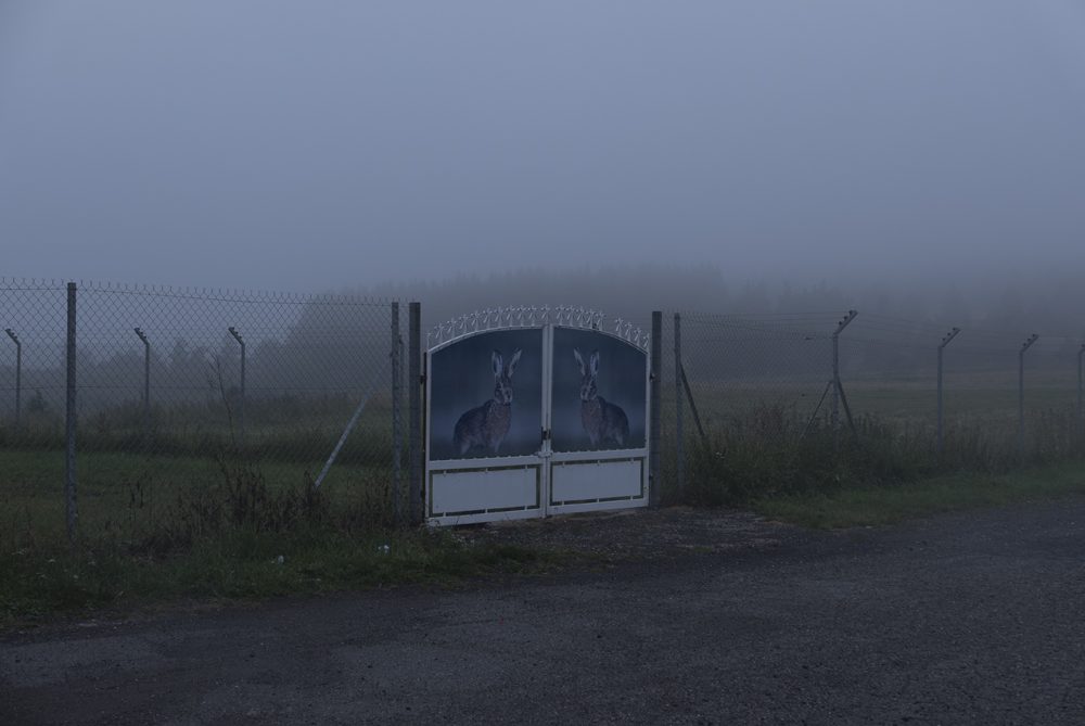 Fisheye Magazine | Fisheye Magazine | Les coups de cœur #127