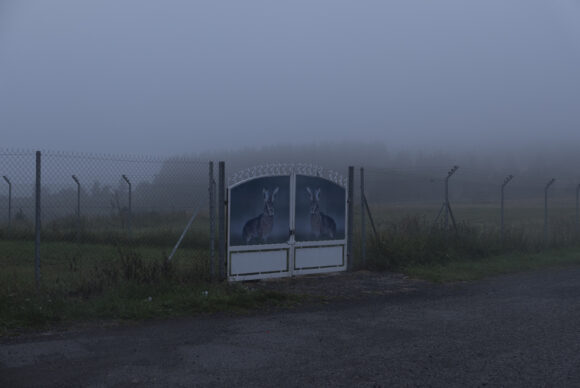 Fisheye Magazine | Fisheye Magazine | Les coups de cœur #127