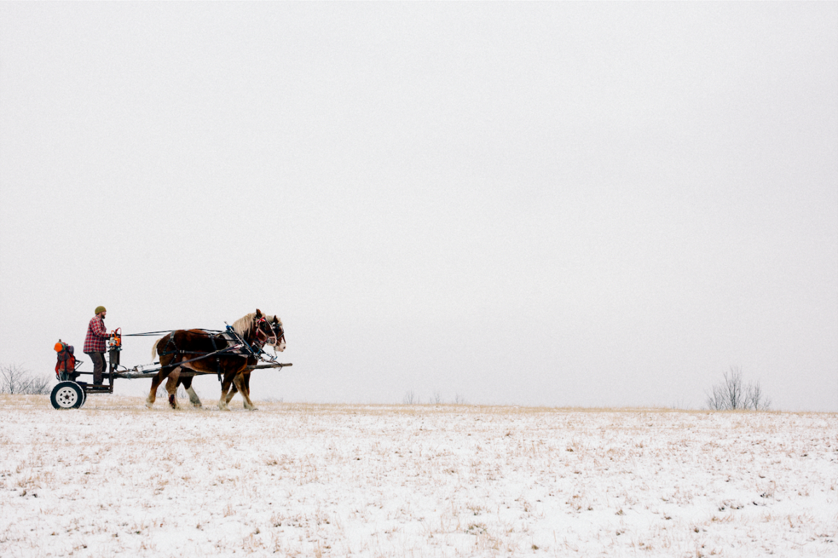 Extrait de la série "The North East Kingdom" / © Stéphane Lavoué 
